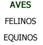 Genes Comunicacionais