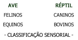 Genes Comunicacionais Genes Comunicacionais