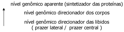 Genes Comunicacionais Genes Comunicacionais