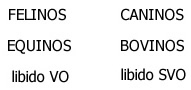 Genes Comunicacionais Genes Comunicacionais