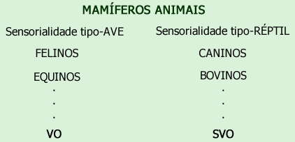 Genes Comunicacionais Genes Comunicacionais