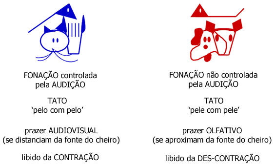 Resumo das Linguagens - Genes Comunicacionais Resumo das Linguagens - Genes Comunicacionais