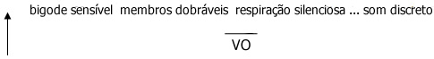 Genes Comunicacionais Genes Comunicacionais