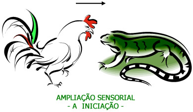 Ampliação Sensorial - Interpretação