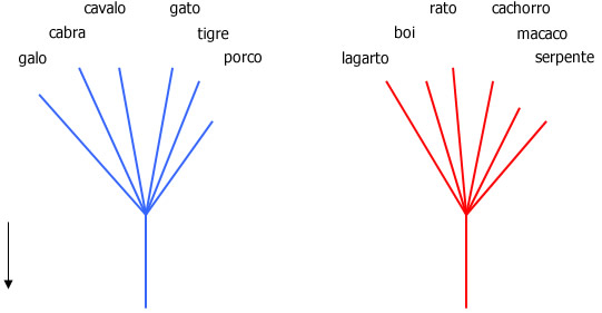 Reforçando - Interpretação
