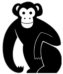 Chipanzes - Macacos