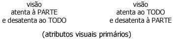 Modos Sensoriais 1