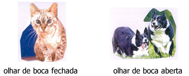 Modos Sensoriais 1