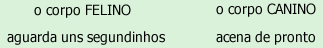 Modos Sensoriais 3