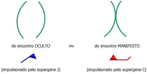 Qual dos ORGASMOS o corpo da sua esposa prefere? - A linguistica moderna